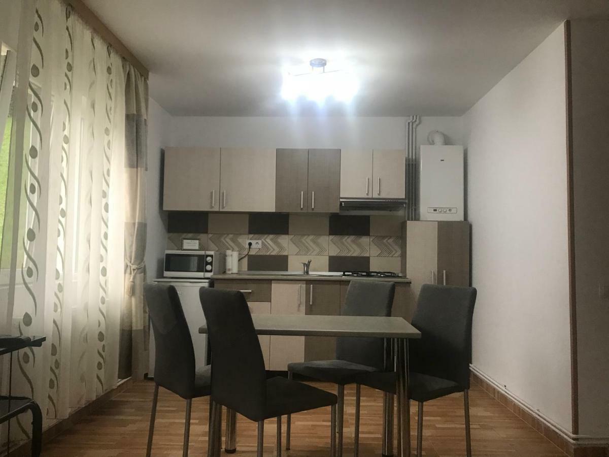 Garsoniera Family Lägenhet Buşteni Exteriör bild