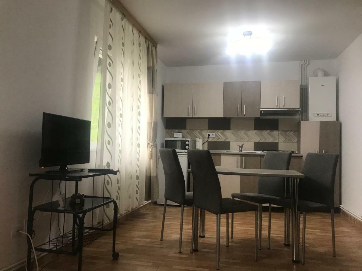 Garsoniera Family Lägenhet Buşteni Exteriör bild